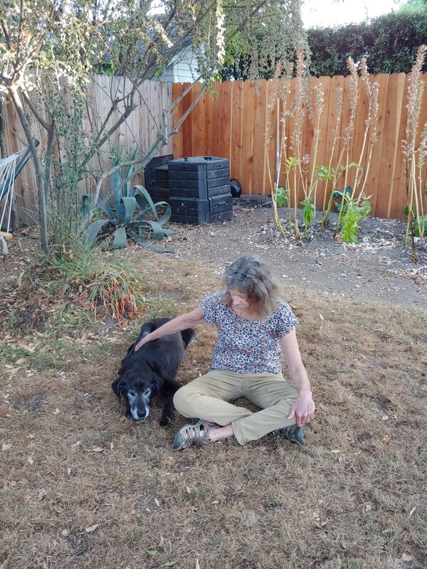 Barney backyard